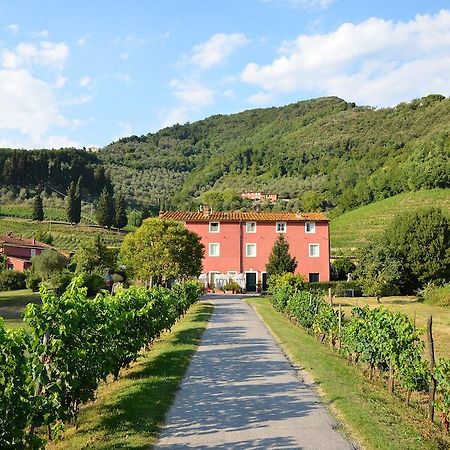 Agriturismo Le Murelle Lucca Ngoại thất bức ảnh