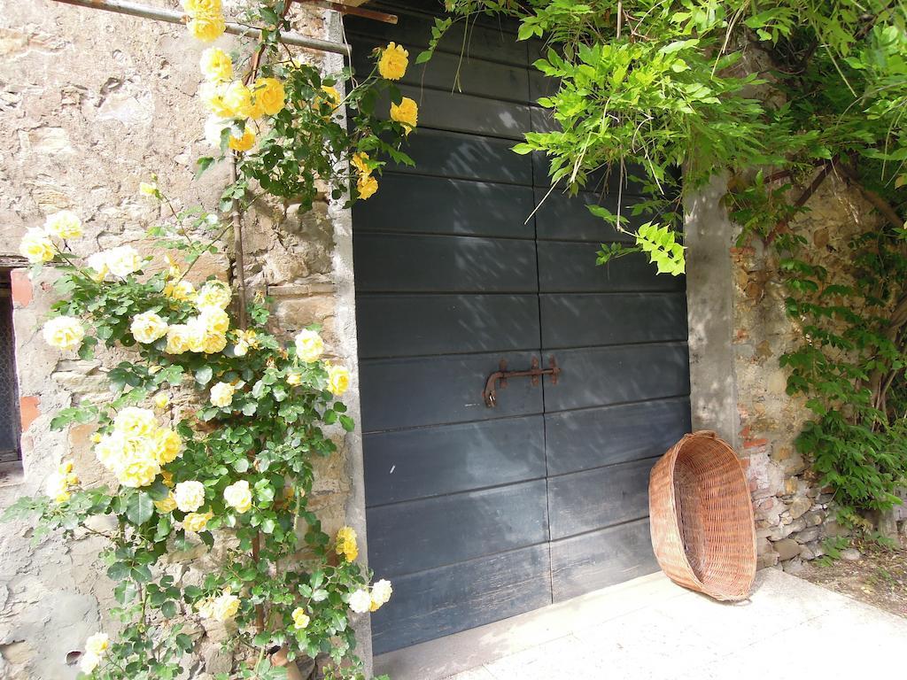 Agriturismo Le Murelle Lucca Ngoại thất bức ảnh
