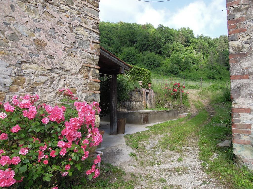 Agriturismo Le Murelle Lucca Ngoại thất bức ảnh
