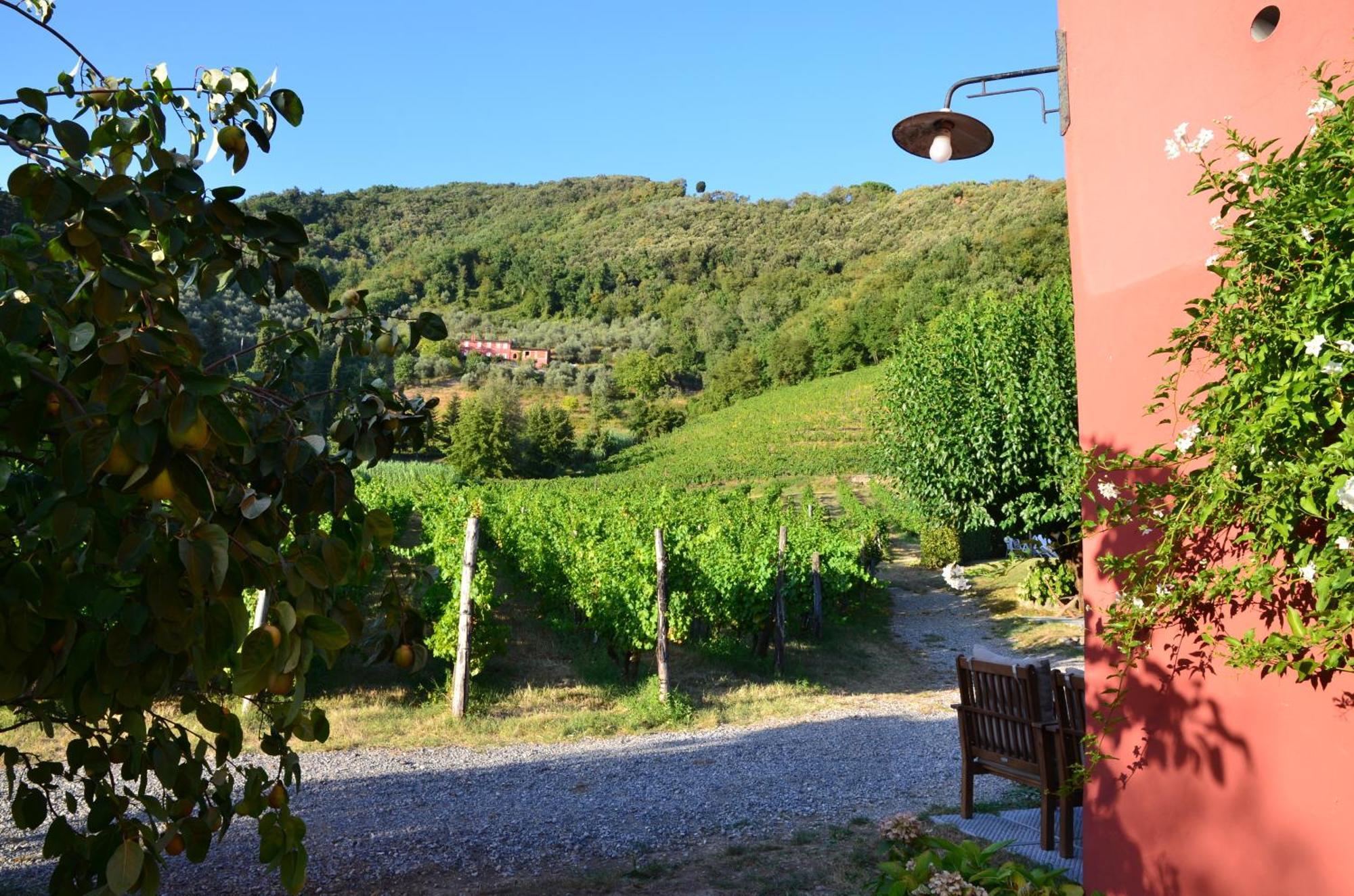 Agriturismo Le Murelle Lucca Ngoại thất bức ảnh