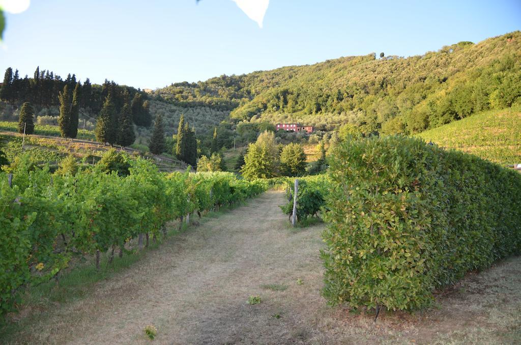 Agriturismo Le Murelle Lucca Ngoại thất bức ảnh
